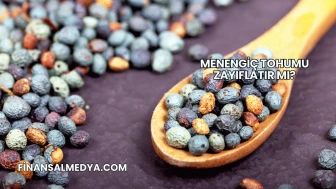 Menengiç Tohumu Zayıflatır mı?