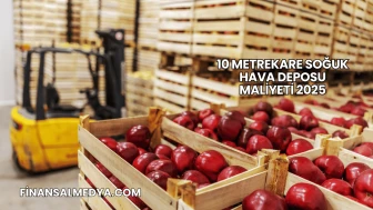 10 Metrekare Soğuk Hava Deposu Maliyeti 2025