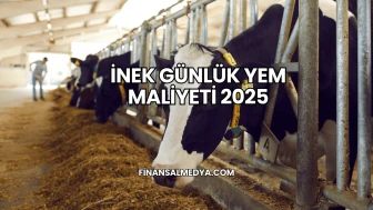 İnek Günlük Yem Maliyeti 2025