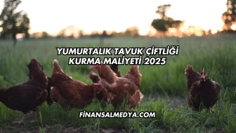 Yumurtalık Tavuk Çiftliği Kurma Maliyeti 2025