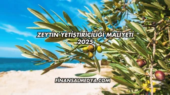 Zeytin Yetiştiriciliği Maliyeti 2025
