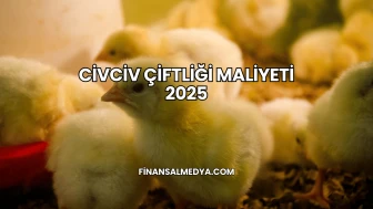 Civciv Çiftliği Maliyeti 2025