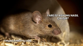 Fare İstasyonu Nasıl Çalışır?