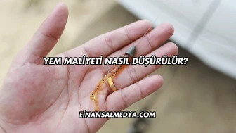 Yem Maliyeti Nasıl Düşürülür?