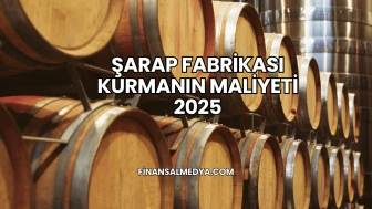 Şarap Fabrikası Kurmanın Maliyeti 2025