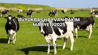 Büyükbaş Hayvan Bakım Maliyeti 2025