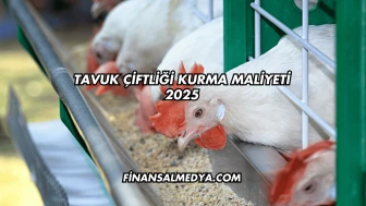 Tavuk Çiftliği Kurma Maliyeti 2025