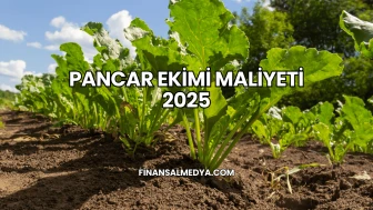 Pancar Ekimi Maliyeti 2025