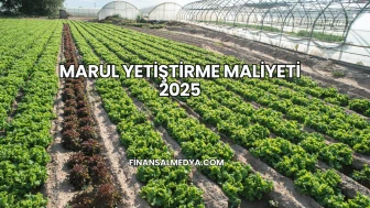Marul Yetiştirme Maliyeti 2025