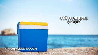Soğutucu Nasıl Çalışır?