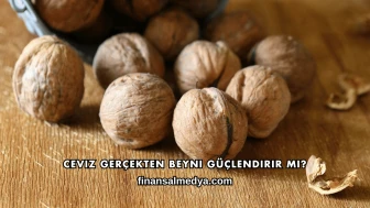 Ceviz Gerçekten Beyni Güçlendirir mi?