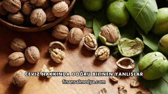 Ceviz Hakkında Doğru Bilinen Yanlışlar