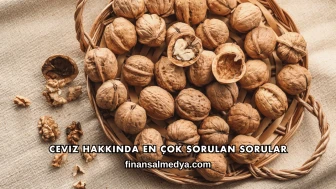 Ceviz Hakkında En Çok Sorulan Sorular