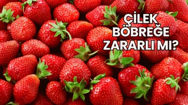 Çilek Böbreğe Zararlı mı?