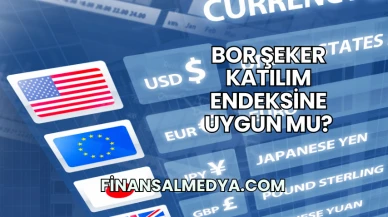 Bor Şeker Katılım Endeksine Uygun mu?