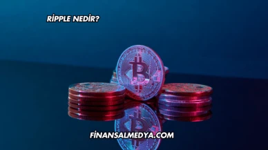 Ripple Nedir?