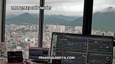 Tron (TRX) Coin Nedir?