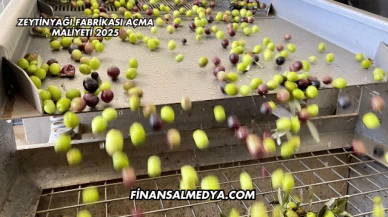 Zeytinyağı Fabrikası Açma Maliyeti 2025