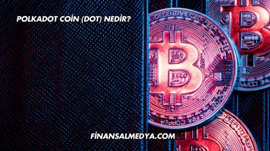Polkadot Coin (DOT) Nedir?