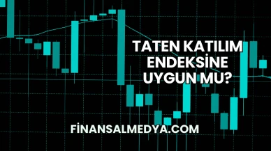 Taten Katılım Endeksine Uygun mu?