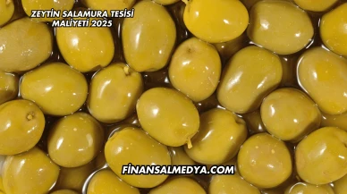 Zeytin Salamura Tesisi Maliyeti 2025