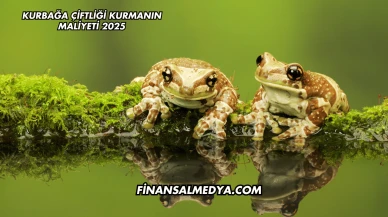 Kurbağa Çiftliği Kurmanın Maliyeti 2025