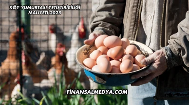 Köy Yumurtası Yetiştiriciliği Maliyeti 2025