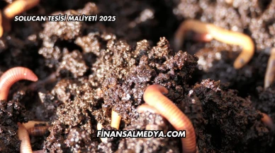 Solucan Tesisi Maliyeti 2025