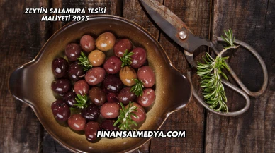 Zeytin Salamura Tesisi Maliyeti 2025