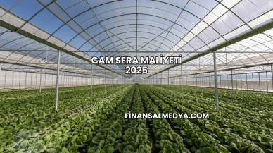 Cam Sera Maliyeti 2025