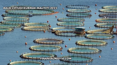 Balık Çiftliği Kurmak Maliyeti 2025