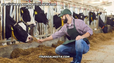 50 Büyükbaş Ahır Maliyeti Ne Kadar 2025