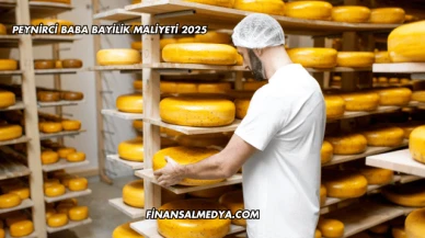 Peynirci Baba Bayilik Maliyeti 2025