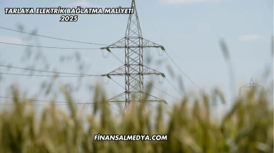 Tarlaya Elektrik Bağlatma Maliyeti 2025