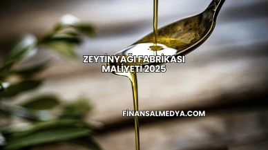 Zeytinyağı Fabrikası Maliyeti 2025