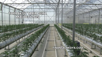 Topraksız Tarım Sera Maliyeti 2025