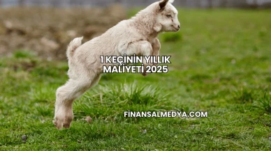 1 Keçinin Yıllık Maliyeti 2025