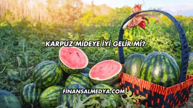 Karpuz Mideye İyi Gelir mi?
