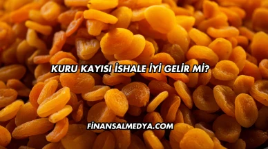 Kuru Kayısı İshale İyi Gelir mi?