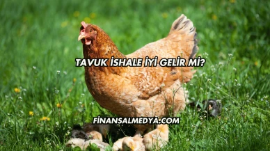 Tavuk İshale İyi Gelir mi?