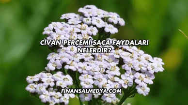 Civan Perçemi Saça Faydaları Nelerdir?