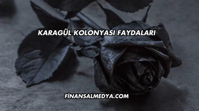 Karagül Kolonyası Faydaları