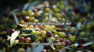 Zeytin Mideye İyi Gelir mi?