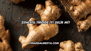 Zencefil Tiroide İyi Gelir mi?