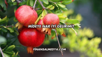Mideye Nar İyi Gelir Mi?