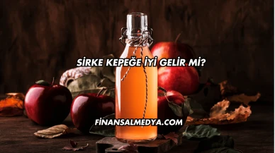 Sirke Kepeğe İyi Gelir mi?