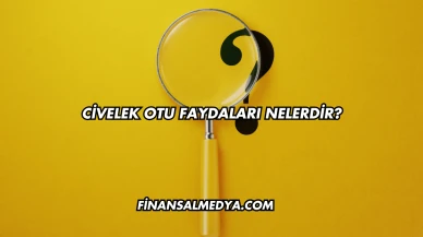 Civelek Otu Faydaları Nelerdir?