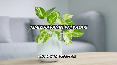 Temiz Havanın Faydaları