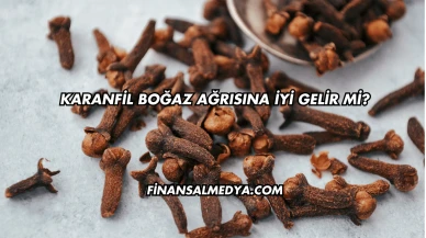 Karanfil Boğaz Ağrısına İyi Gelir mi?
