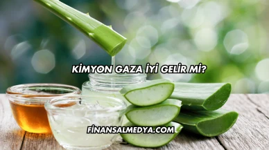 Aloe Vera Sivilceye İyi Gelir mi?